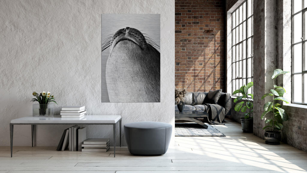 Das schwarz-weiße Fotokunstwerk einer Robbe an einer Wand in einer hellen Loft.