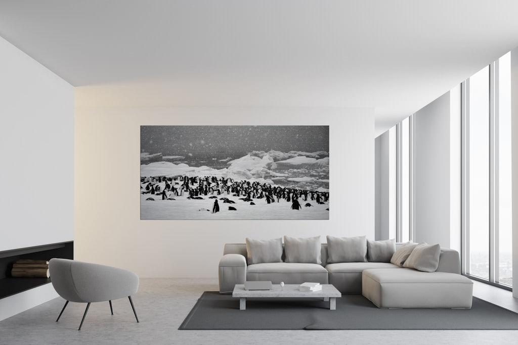 Ein Fotokunstwerk hängt in einem Wohnraum. Pinguine sind auf einer großen Schneefläche in der Antarktis zu sehen.