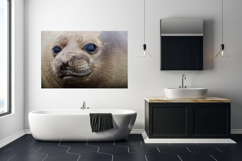 Ein Fotokunstwerk,im Badezimmer einer Loft, auf welchem eine braune Robbe in die Kamera lächelt.