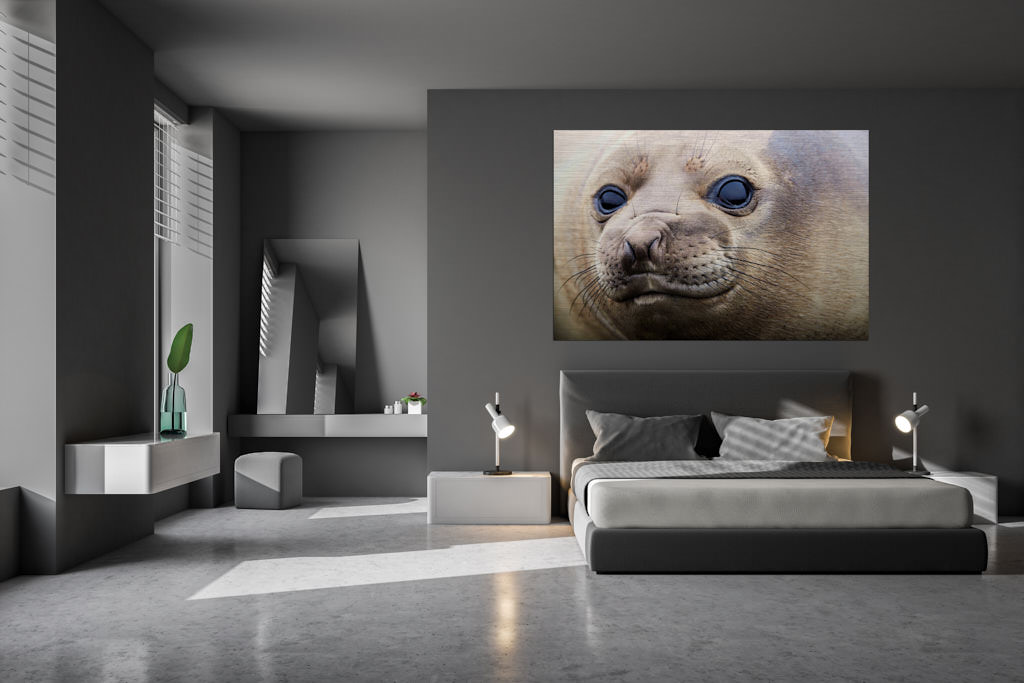 Ein Fotokunstwerk,in einer Loft, auf welchem eine braune Robbe in die Kamera lächelt.