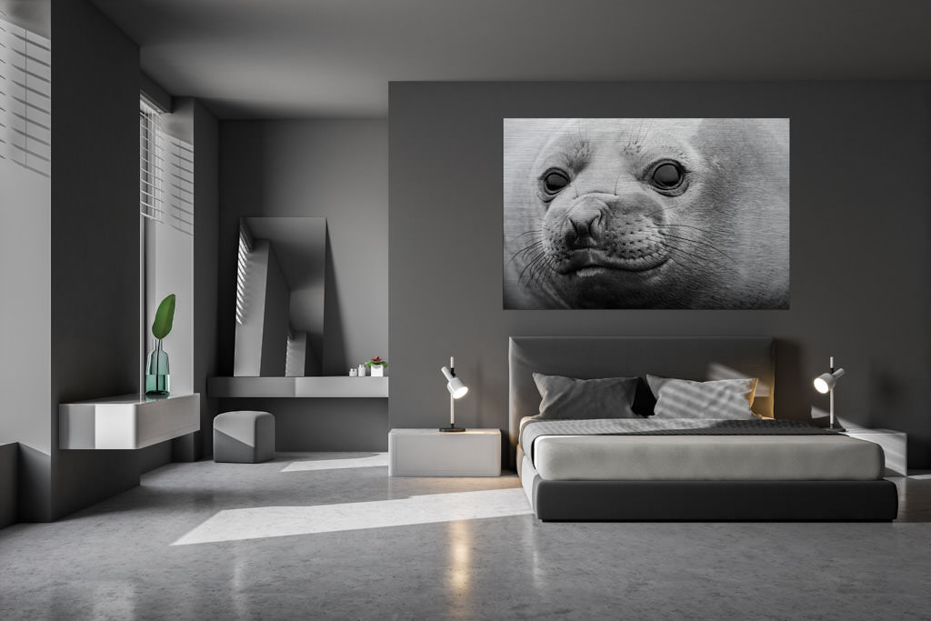 Ein schwarz-weißes Fotokunstwerk,in einer Loft, auf welchem eine Robbe in die Kamera lächelt.