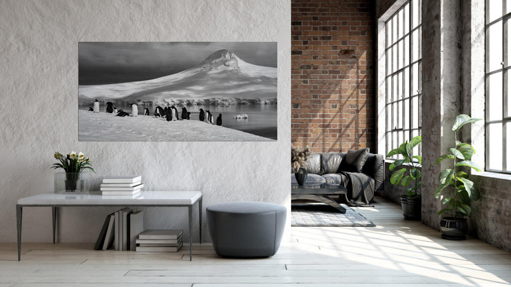 Ein Fotokunstwerk hängt an der Wand in einem Wohnraum. Auf dem Foto sind im Vordergrund viele Pinguine im Schnee zu sehen. Im Hintergrund ist ein Eisberg. Das Bild ist in der Antarktis entstanden.