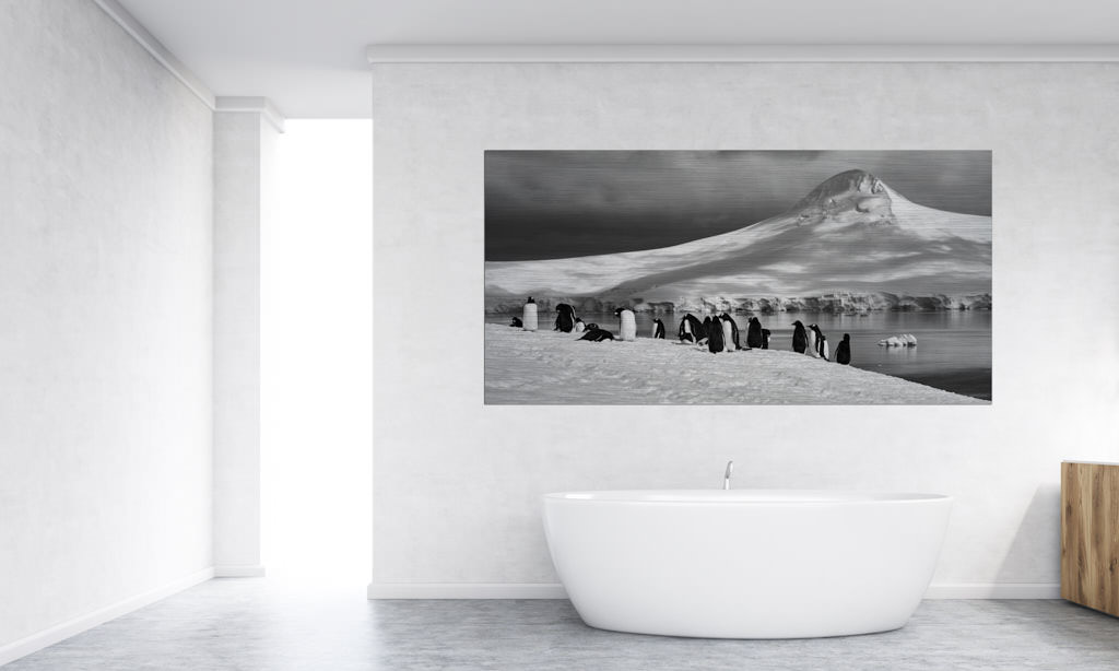 Ein Fotokunstwerk hängt an der Wand im Badezimmer. Auf dem Foto sind im Vordergrund viele Pinguine im Schnee zu sehen. Im Hintergrund ist ein Eisberg. Das Bild ist in der Antarktis entstanden.