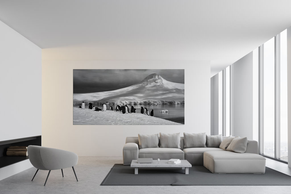 Ein Fotokunstwerk hängt an der Wand in einem Wohnzimmer. Auf dem Foto sind viele Pinguinen, welche sich auf einer großen Schneefläche befinden, zu sehen. Im Hintergrund ist ein Eisberg. Das Bild ist in der Antarktis entstanden.
