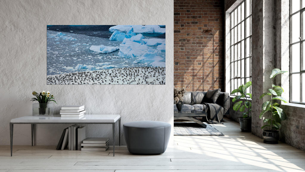 Ein Fotokunstwerk hängt an der Wand in einer Loft. Auf dem Foto sind viele Pinguinen, welche sich auf einer großen Schneefläche befinden, zu sehen. Das Bild ist in der Antarktis entstanden.