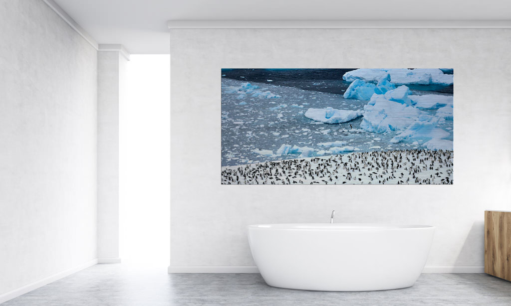 Ein Fotokunstwerk hängt im Badezimmer. Im Foto sind viele Pinguinen, welche sich auf einer großen Schneefläche befinden. Im Hintergrund fliegt eine Möwe vor den Eisbergen. Das Bild ist in der Antarktis entstanden.