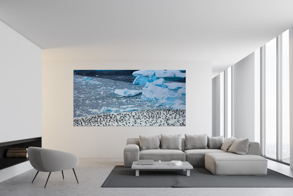 Ein Fotokunstwerk, in einem Wohnzimmer, von vielen Pinguinen, welche sich auf einer großen Schneefläche befinden. Im Hintergrund ein einzelner Pinguin, umgeben von Eisbergen. Das Bild ist in der Antarktis entstanden.